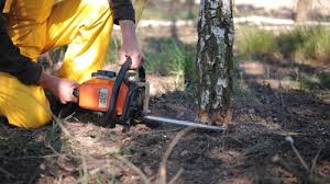 Best Lawn Irrigation Installation and Maintenance  in Onalaska, WI