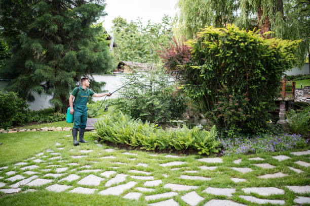 Best Lawn Maintenance Plans  in Onalaska, WI