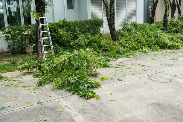 Best Lawn Drainage Solutions  in Onalaska, WI